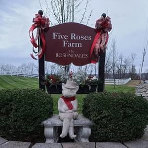 Meet your Posher, Cheryl